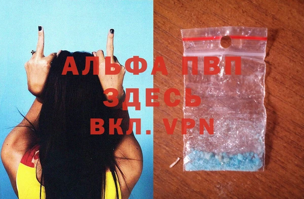 гашик Пересвет