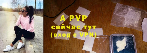 хмурый Арсеньев