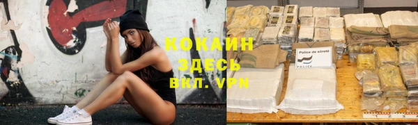 гашик Пересвет