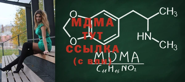 хмурый Арсеньев