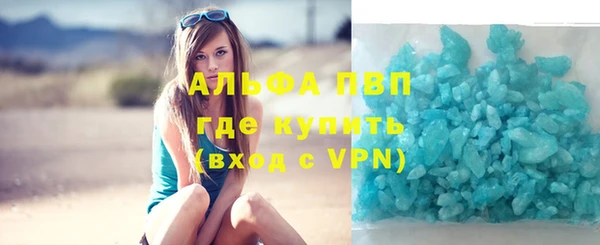 гашик Пересвет