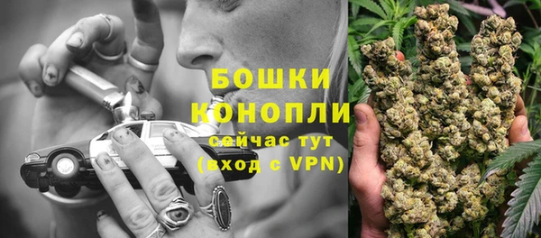 хмурый Арсеньев