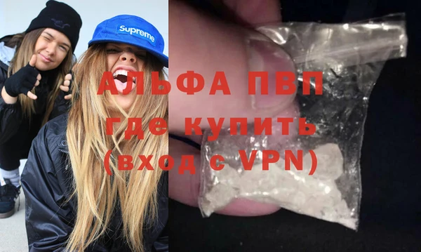 хмурый Арсеньев