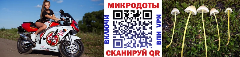 Псилоцибиновые грибы MAGIC MUSHROOMS Бабаево